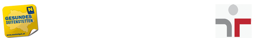 Seitenstettner Eisdisco-Bus